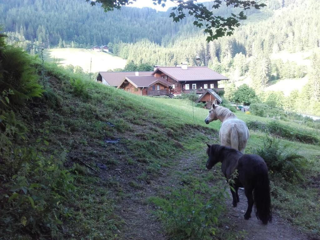 Neudegghof Lägenhet Eben Im Pongau Exteriör bild